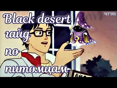 Видео: 🌌 Гайд по питомцам в Black desert online 🌌 питомцы бдо