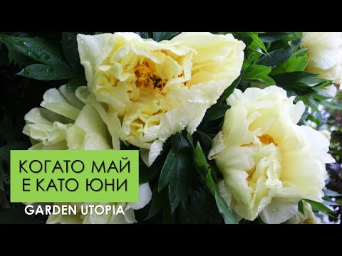 Видео: В ГРАДИНАТА | 09.05.2024 г.