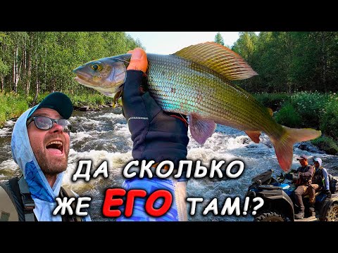 Видео: КОЛЬСКИЙ. Логово ХАРИУСА. Ураганим на КВАДРИКЕ. Часть 1