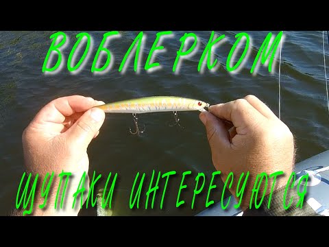 Видео: РЫБАЛКА НА ВОБЛЕРЫ !FishyCat JUNGLECAT F 140  ОТ BEARKING РАЗЛОВЛЕН !Предсерийная версия!