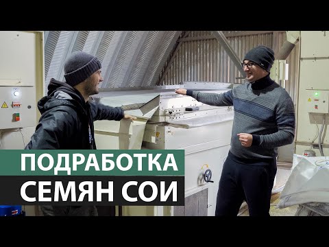 Видео: Подработка семян сои у Алексея Гриднева - пневмостол «Полымя».