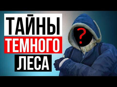 Видео: Все, что известно про Обновление Stalker Online | Stay Out