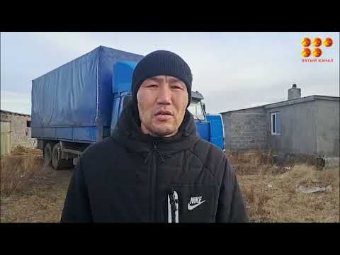 Видео: Краденых лошадей везли на согым в Караганду