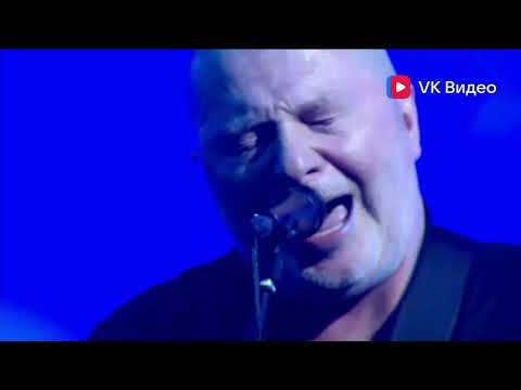 Видео: Вадим Самойлов - Два корабля (Live) - 31.08.2025