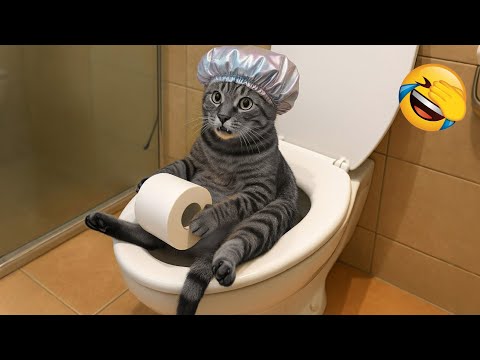 Видео: Попробуй Не Засмеяться 😂 Самые Смешные Животные 😹🐶 Часть 2