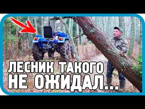 Видео: ЕДЕМ ЗА ТИТЯСТОЙ! УДИВИЛ ЛЕСНИКА ТРАКТОРОМ И КОММЕНТАРИЯМИ ЗРИТЕЛЕЙ!