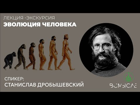 Видео: Эволюция человека: что мы не знали. Станислав Дробышевский