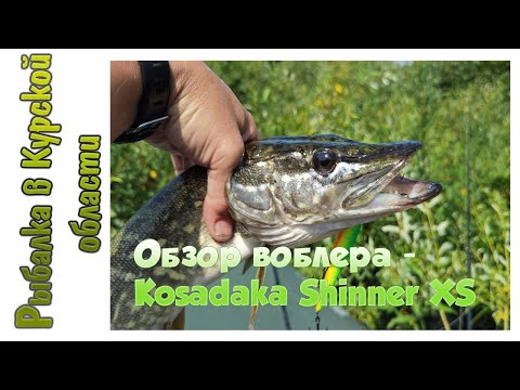 Видео: Обзор воблера Kosadaka Shinner XS 115 SP