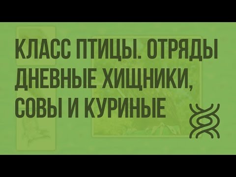 Видео: Класс Птицы. Отряды Дневные хищные, Совы и Куриные. Видеоурок по биологии 7 класс