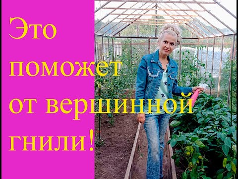 Видео: Борьба с вершинной гнилью перцев и томатов