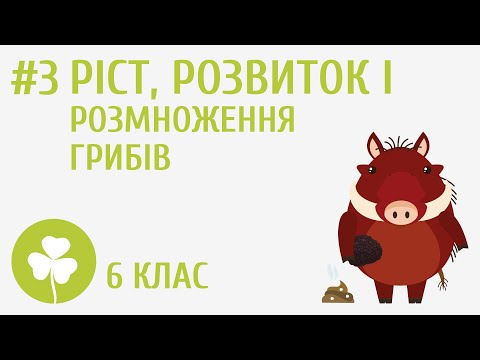 Видео: Ріст, розвиток і розмноження грибів #3