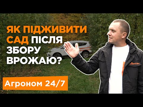 Видео: Як підживити сад після збору врожаю? Сад яблуні та груші. Добрива для саду. Агроном 24/7