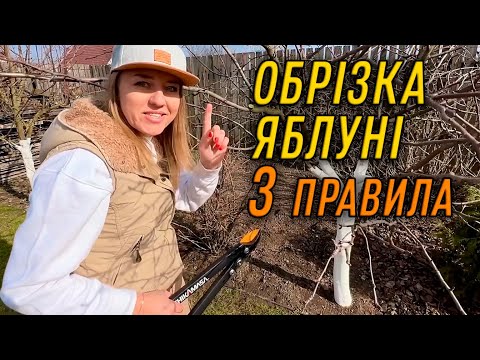 Видео: ОБРІЗКА ЯБЛУНІ – 3 ПРАВИЛА