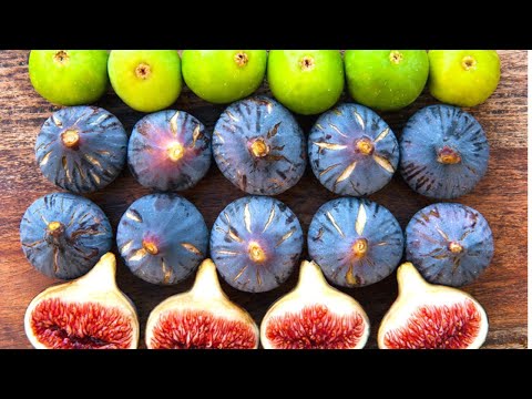 Видео: Как УКОРЕНЯТЬ ИНЖИР : КАК вырастить САЖЕНЦЫ инжира из ЧЕРЕНКОВ