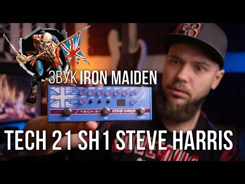 Видео: Обзор и тест педали TECH 21 SH1 STEVE HARRIS