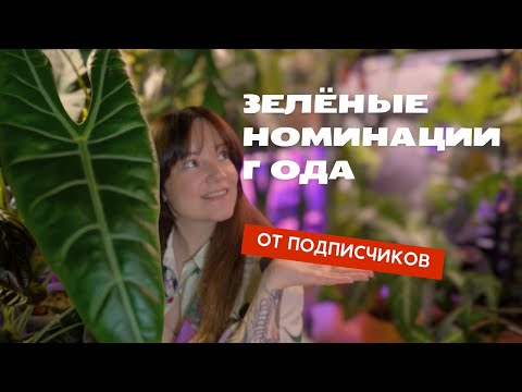 Видео: 25 ЛУЧШИХ растений 🌿 номинации от подписчиков 🏆 зеленые итоги 2024