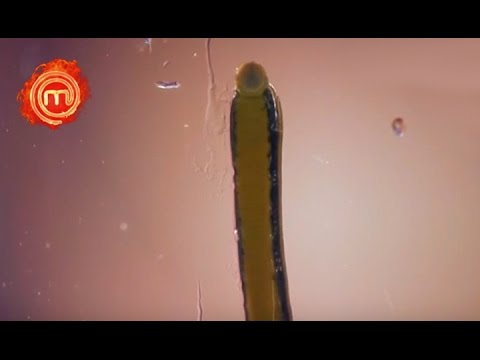 Видео: МастерШеф 4 - Выпуск 2 - Часть 6 из 7