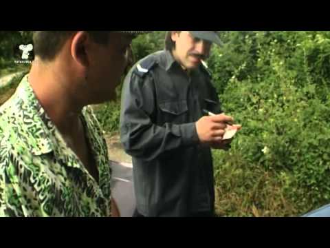 Видео: ТУТУРУТКА - Асен шофьор (Asen shofjor) Official