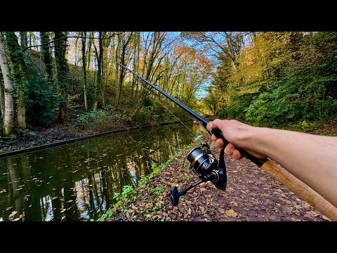 Видео: Могу ли я поймать большую щуку, которая таится в канале?!