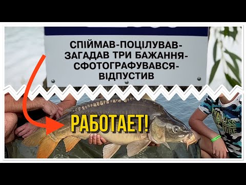 Видео: Рыбалка на озере "Став Новий" 🔥