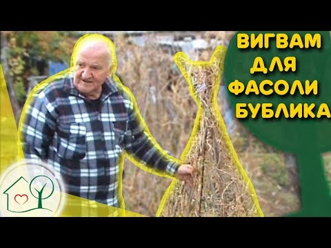 Видео: Бублика Б. А.  Вигвам-шпалера для фасоли, простая конструкция. Огород без хлопот