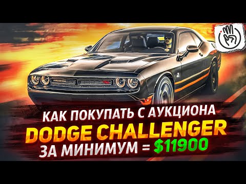 Видео: Как Покупать С Аукциона Muscle Car Dodge Challenger AWD за минимум денег ? $11900 @3BRO