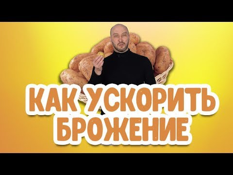 Видео: Лайфхак: как ускорить процесс брожения браги для самогона?