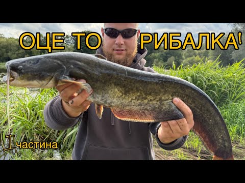 Видео: РИБА РВЕ СНАСТІ, та краса яка ЗВОДИТЬ З РОЗУМУ! Оце ДИКИЙ кайф! ЧАСТИНА ПЕРША!