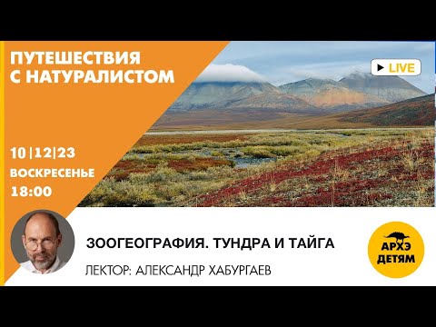 Видео: Детский эфир "Зоогеография. Тундра и тайга" рубрики "Путешествия с натуралистом" Александр Хабургаев