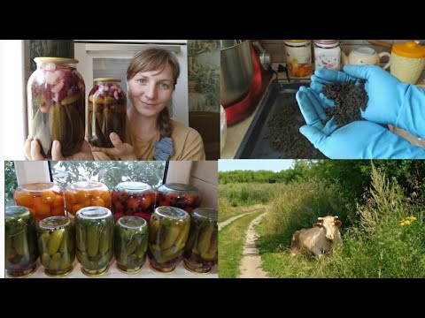 Видео: Таких заготовок у меня ещё не было!!! 🤗🥒🍅🍑