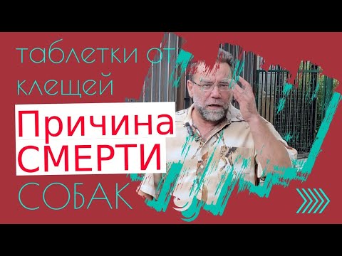 Видео: СМЕРТЕЛЬНО ОПАСНЫЕ ТАБЛЕТКИ ОТ КЛЕЩЕЙ | как и чем уберечь собак от клещей
