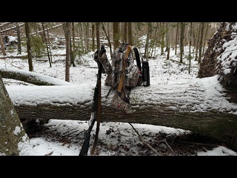 Видео: Поиск. Как поставить поиск у лайки. Белые лайки. Зверовые линии откуда.