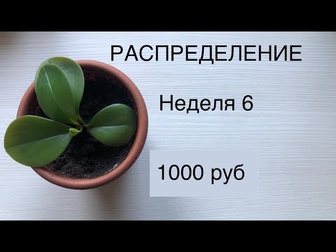 Видео: РАСПРЕДЕЛЕНИЕ ДЕНЕГ ИЗ КОНВЕРТОВ В КОПИЛКУ. НЕДЕЛЯ 6.