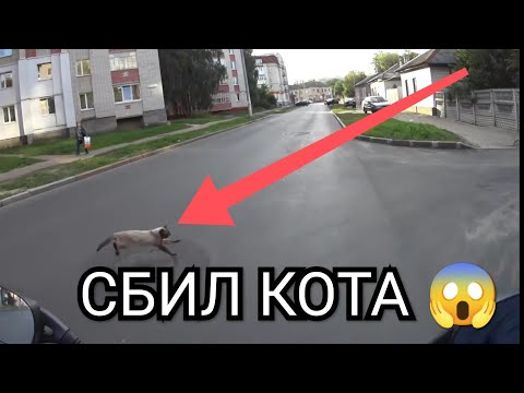 Видео: Лопнул шланг под мойкой | Замена шланга + Монтаж моно крана | Будни Сантехника