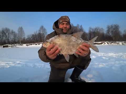 Видео: БОЛЬШАЯ ИСТОРИЯ РЫБОЛОВНОГО СЕЗОНА 2023-24! МОЯ ОДИНОКАЯ ЖИЗНЬ В ТАЙГЕ \ РЫБАЛКА С ДРЮНЕЙ 11 RUS !