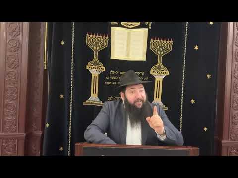 Видео: раввин Фишел Чичельницкий, Недельная глава Вайера 5786 г