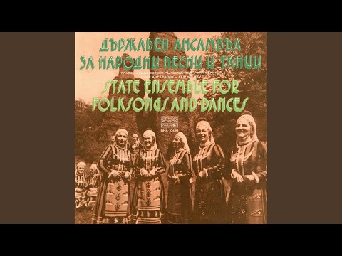 Видео: Лале ли си, зюмбюл ли си