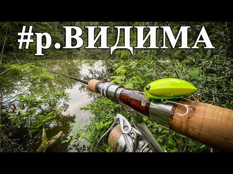 Видео: За кефали на река Видима. Срещнах фен на канала