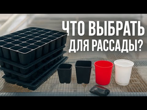 Видео: Какие кассеты и стаканчики для рассады выбрать? Лучшие объёмы для огурца + плюсы и минусы #землядел 