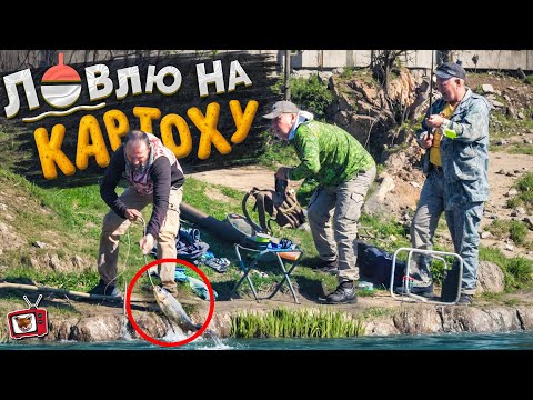 Видео: ПОЙМАЛ  на КАРТОШКУ трех ОГРОМНЫХ карпов! НОВИЧОК на РЫБАЛКЕ! А ведь НИКТО НЕ ВЕРИЛ в мою УДОЧКУ!!!