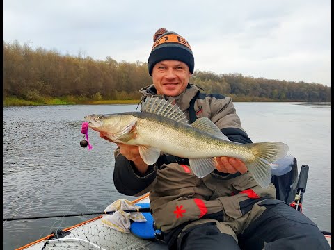 Видео: Рыбалка в коряжнике! Ловля судака на Джиг. Рыбалка на Десне