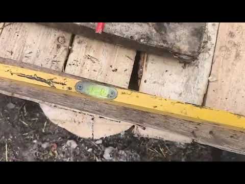 Видео: Продолжаем строить площадку под вольер!Приют ДРУГ ЖИВИ.Г.ОМСК
