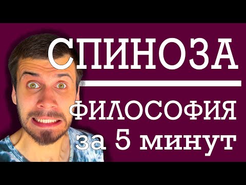 Видео: Бенедикт Спиноза  |  ФИЛОСОФИЯ ЗА 5 МИНУТ