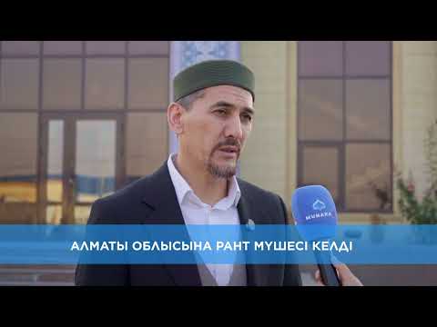 Видео: АЛМАТЫ ОБЛЫСЫНА РАНТ МҮШЕСІ КЕЛДІ