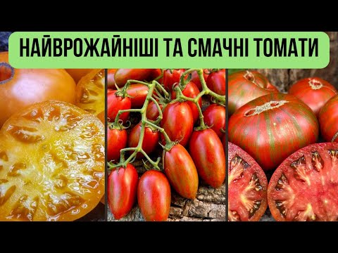 Видео: Огляд насіння середньо та високорослих томатів. Плани на посів сезону 2025🍅