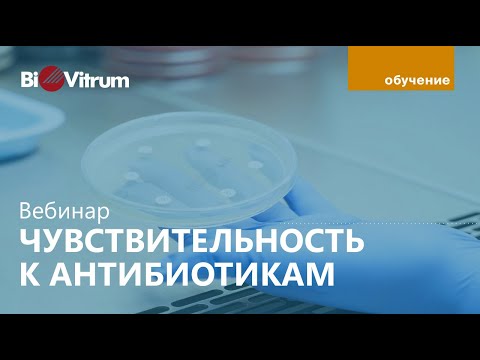 Видео: Вебинар по АБ-чувствительности