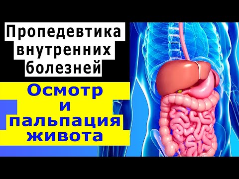 Видео: Пропедевтика внутренних болезней | Осмотр живота | Поверхностная и глубокая пальпация живота