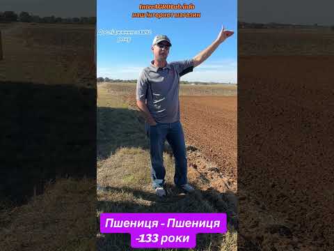 Видео: Пшениця по пшениці 133 роки