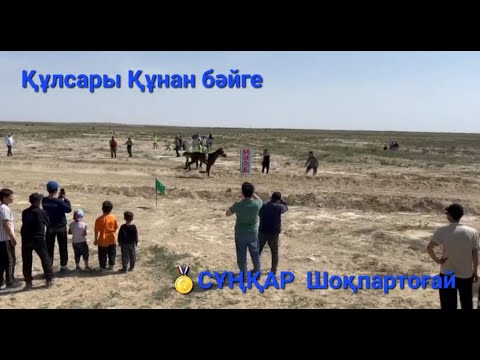 Видео: Бәйге Тұрғызба ауылы  30.04.2023Құнан бәйге🥇Сұнқар Әлім 🥈Жүйрік Келдібай Боранқұл 🥉Арафат Аманкелді