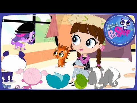 Видео: Мультфильм ПетШоп. Шляпо-гнездная лихорадка